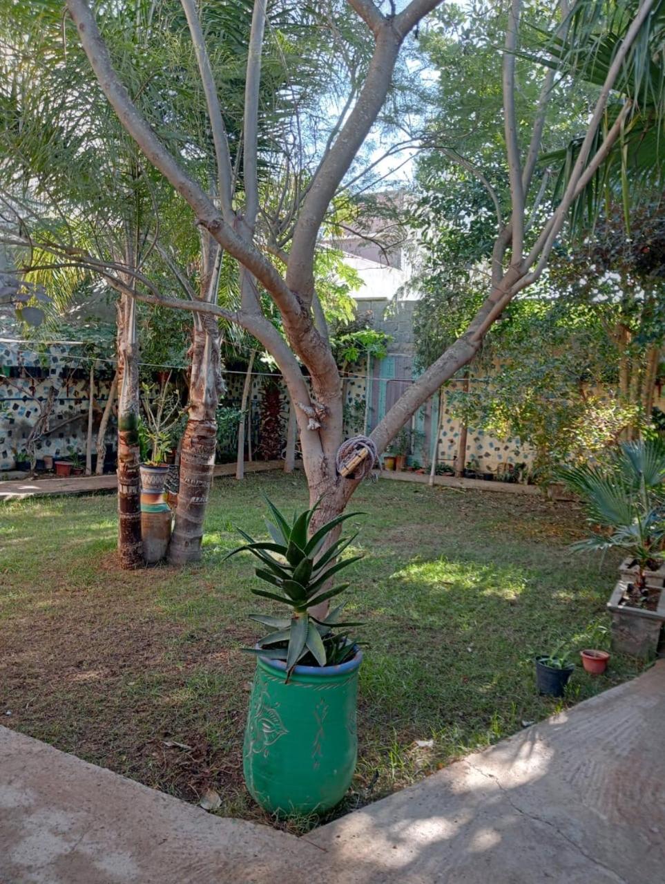 Riad Targante Takate 1 Sidi Bibi Exteriér fotografie