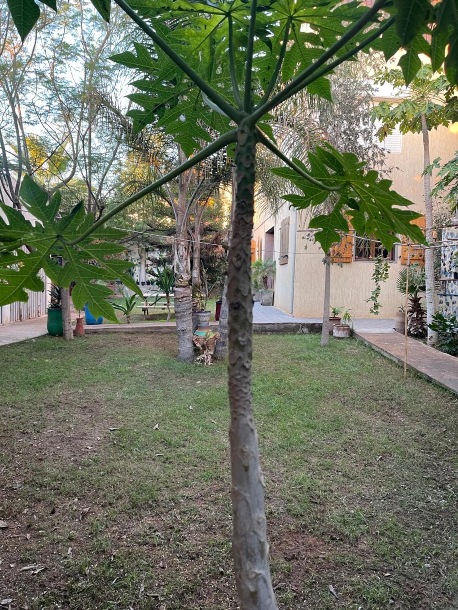 Riad Targante Takate 1 Sidi Bibi Exteriér fotografie