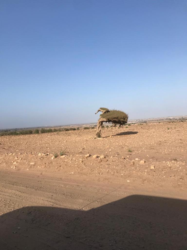 Riad Targante Takate 1 Sidi Bibi Exteriér fotografie